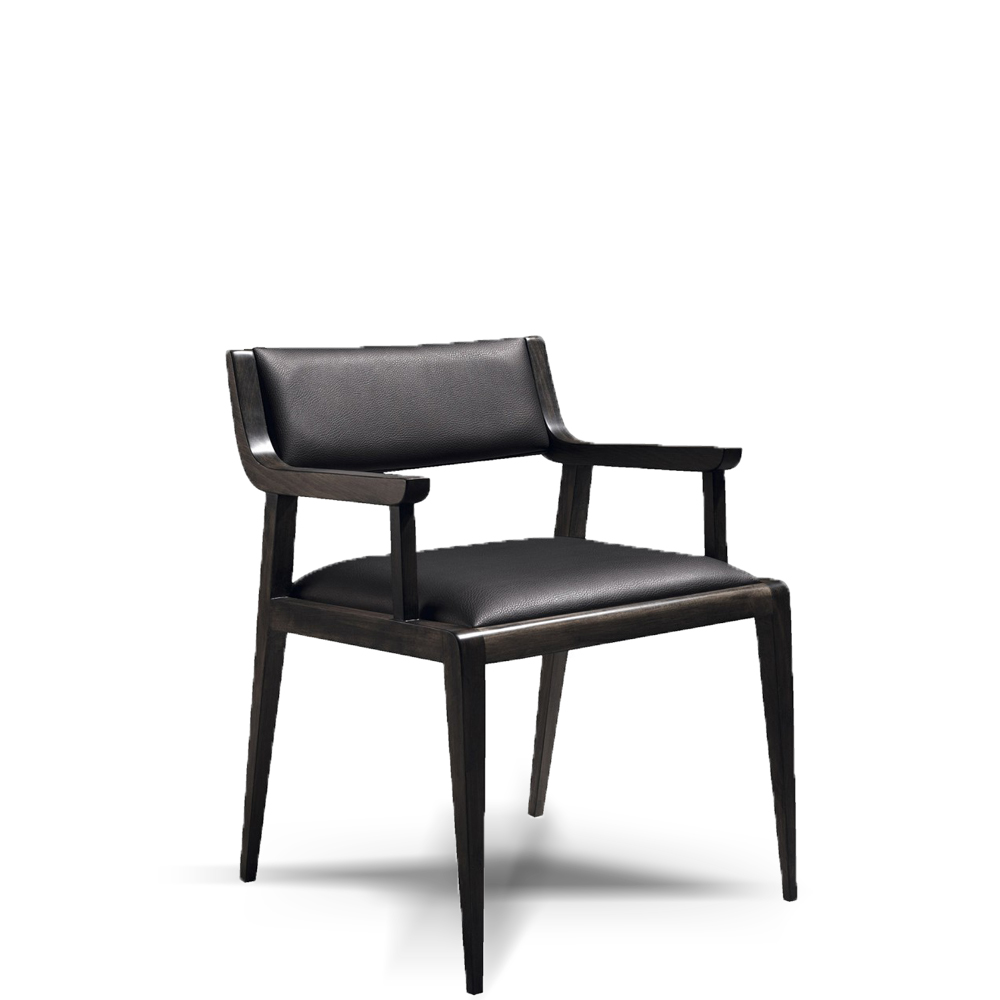 contemporary dining chairs, modern dining chair